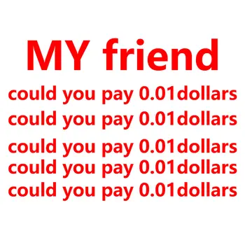 חבר שלי אתה יכול לשלם 0.01 דולר נשלח מהר יותר לוגיסטיקה לך, אתה יכול אני כל כך מצטער
